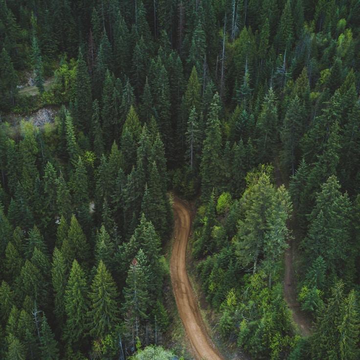 Alpine wilderness landscape